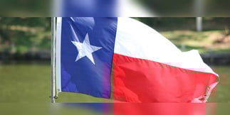 Industry Magnate Adelson Pushes For Texas Casino Expansion