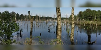 December Numbers Show A Strong Month For Louisiana Casino Revenue