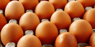 United State's Favorite Way To Cook Eggs By State 2023