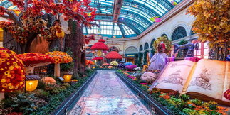 Free Casino Entertainment in Las Vegas: Visit Bellagio Gardens