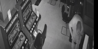 WATCH: Burglar Found Hiding Behind Bandit After Breaking Into Nottingham Casino Jailed