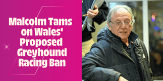 Interview with Malcolm Tams, Manager at Valley Greyhound Racetrack