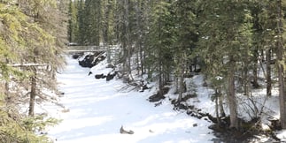Can Alberta Bring Casino Players in From the Cold?