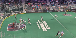 Desert Dogs Are Back and Chasing Their First NLL Playoff Berth