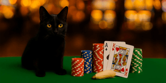 Superstition &amp; Gambling: Why Luck Rituals Hook Us