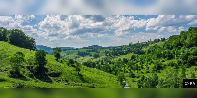 West Virginia Online Gaming Numbers Rise, Sports Betting Mixed in July