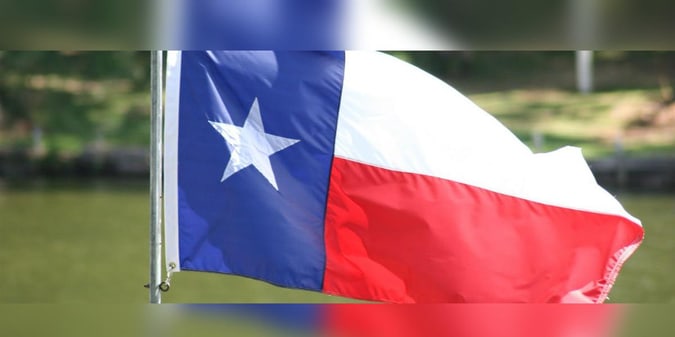 Industry Magnate Adelson Pushes For Texas Casino Expansion