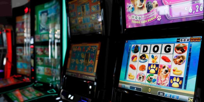 ELK Compete: sfida i tuoi avversari alle slot!