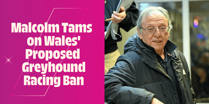 Interview with Malcolm Tams, Manager at Valley Greyhound Racetrack