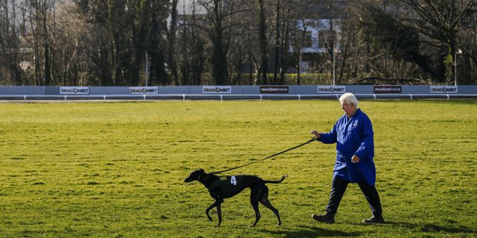 Legal Challenge Launched Against Welsh Government’s Proposed Ban on Greyhound Racing