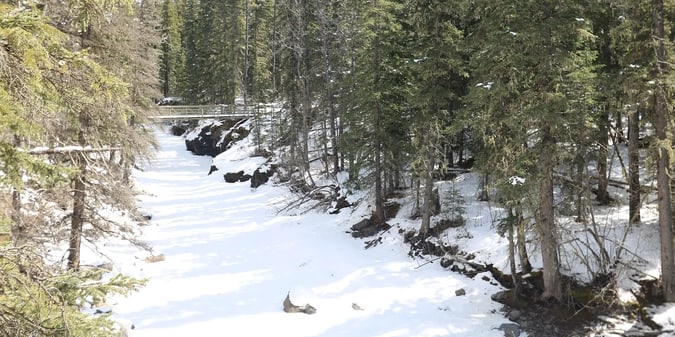 Can Alberta Bring Casino Players in From the Cold?