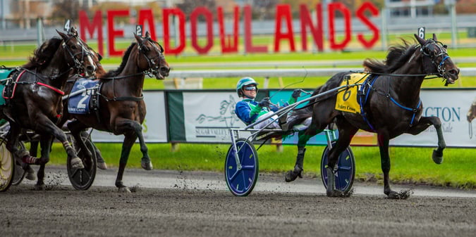 Poll Finds Support for Casinos at Meadowlands, Monmouth Park