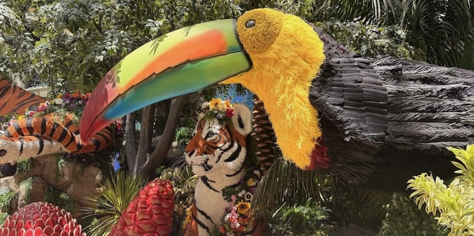 Step Into Paradise at Bellagio's Summer 2026 Conservatory Display