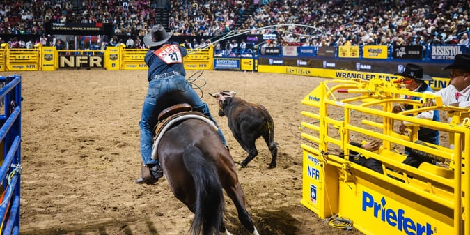 NFR, UFC, and Raiders Lead December Sports in Las Vegas