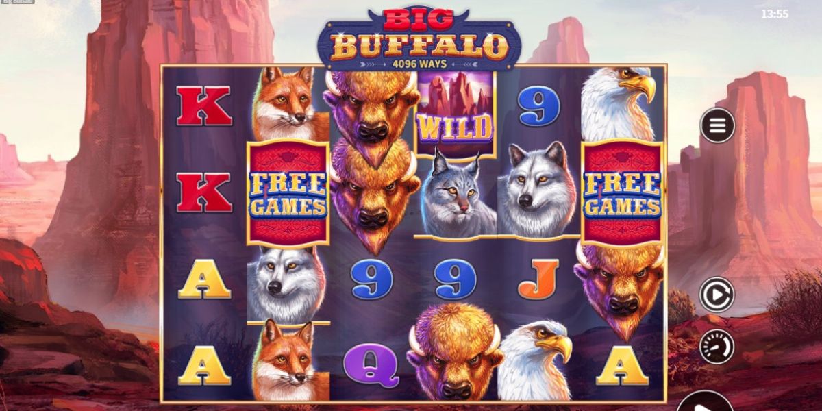 Big Buffalo