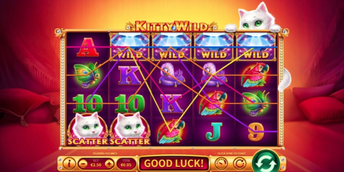 Kitty Wild