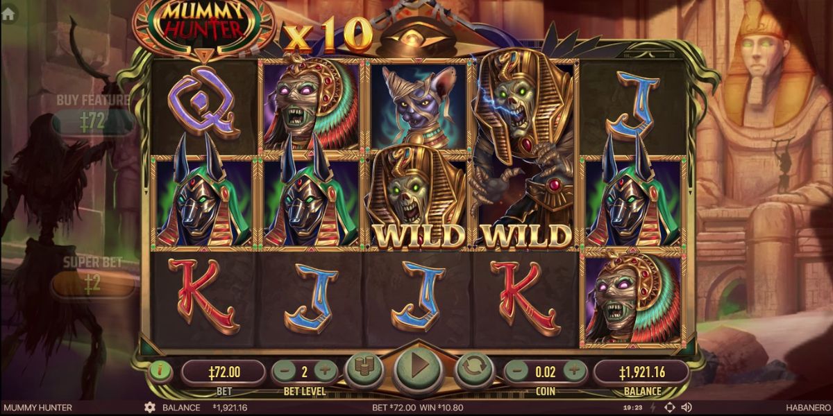 Mummy Hunter