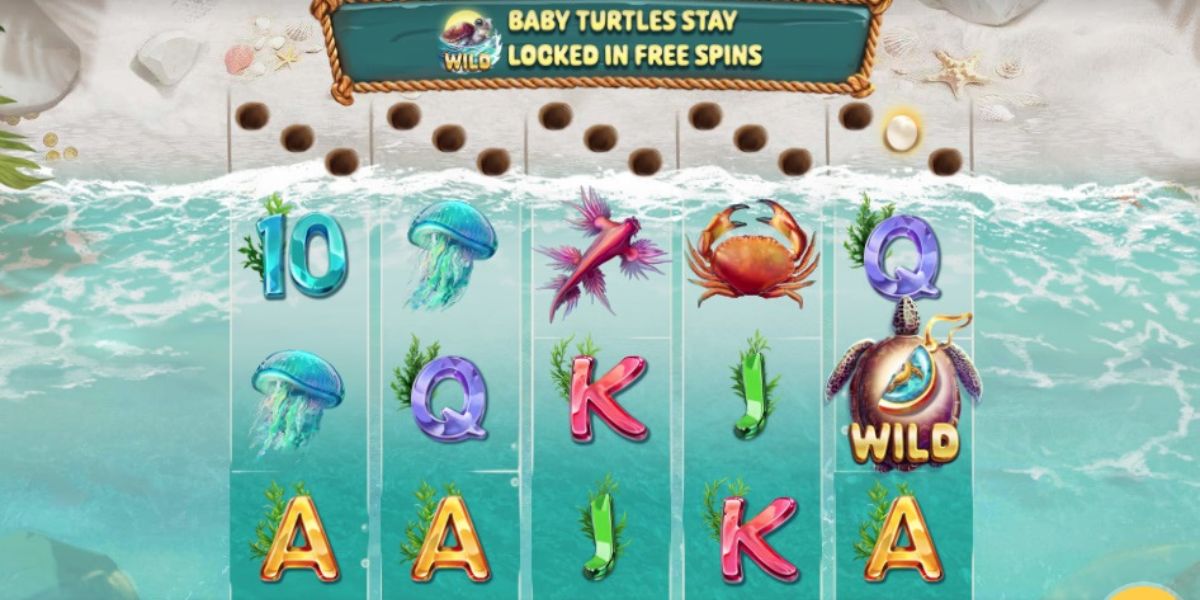 Turtle Paradise