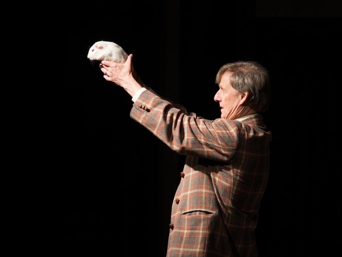 Mac King holding his stage guinea pig, Colonel Sanders, during his comedy magic show