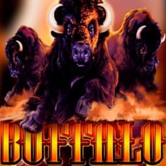 Buffalo slot