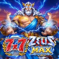 7x7 Zeus Max