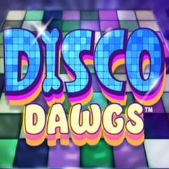 Disco Dawgs