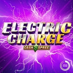 Electric Charge