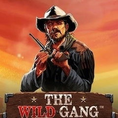The Wild Gang