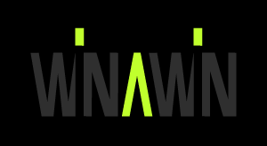 Winawin Casino Logo
