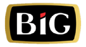 BIG Casino Logo