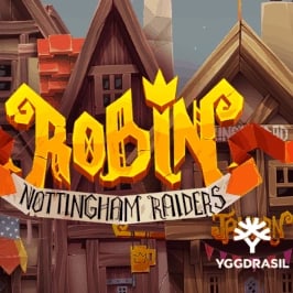 Robin Nottingham Raiders Game Logo