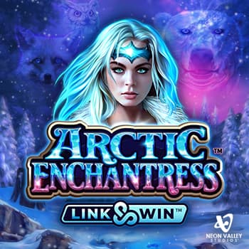 Arctic Enchantress Game Logo