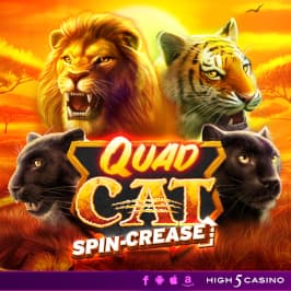 Quad Cat Game Logo