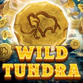 Wild Tundra Game Logo