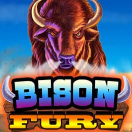 Bison Fury Game Logo