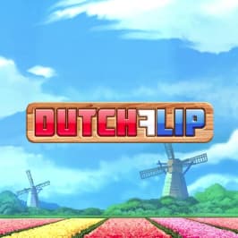 Dutch Flip Game Logo