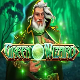 Fire Blaze: Green Wizard Game Logo