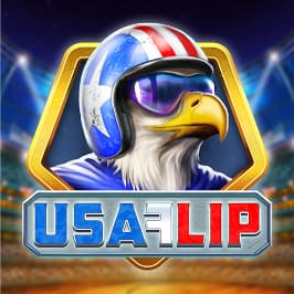 USA Flip Game Logo