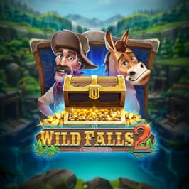 Wild Falls 2 Game Logo