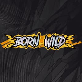 Born Wild Game Logo