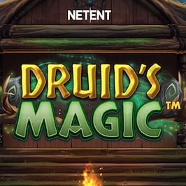 Druid’s Magic Game Logo