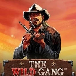 The Wild Gang Game Logo