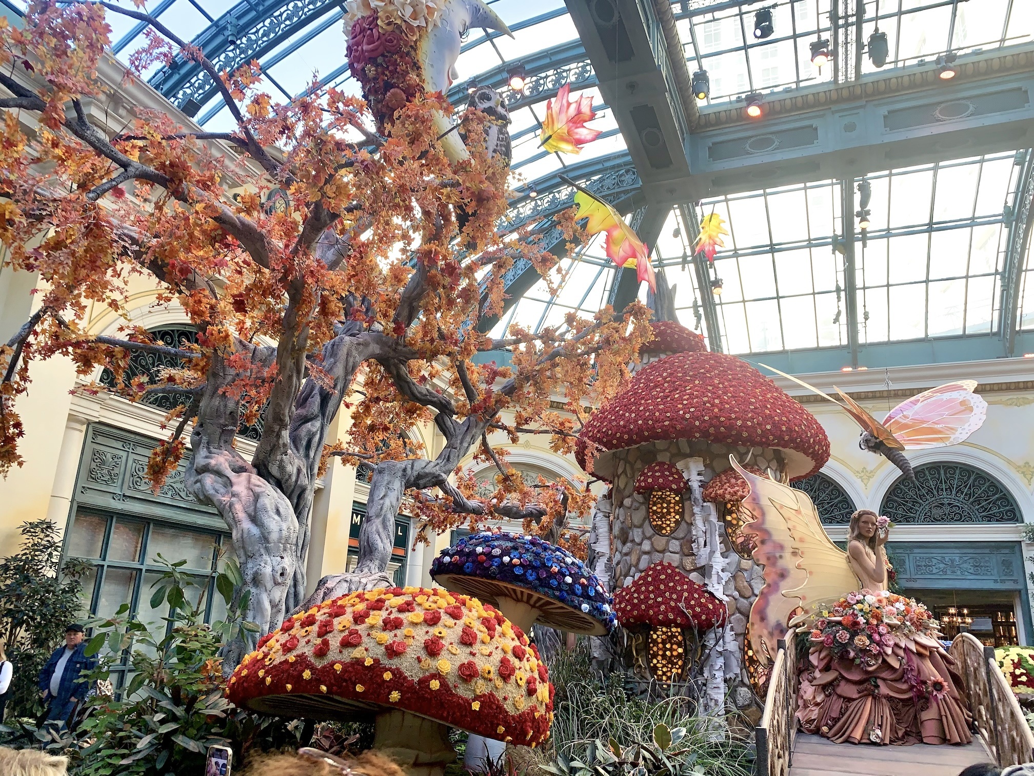 Bellagio Conservatory and Gardens Fall 2023