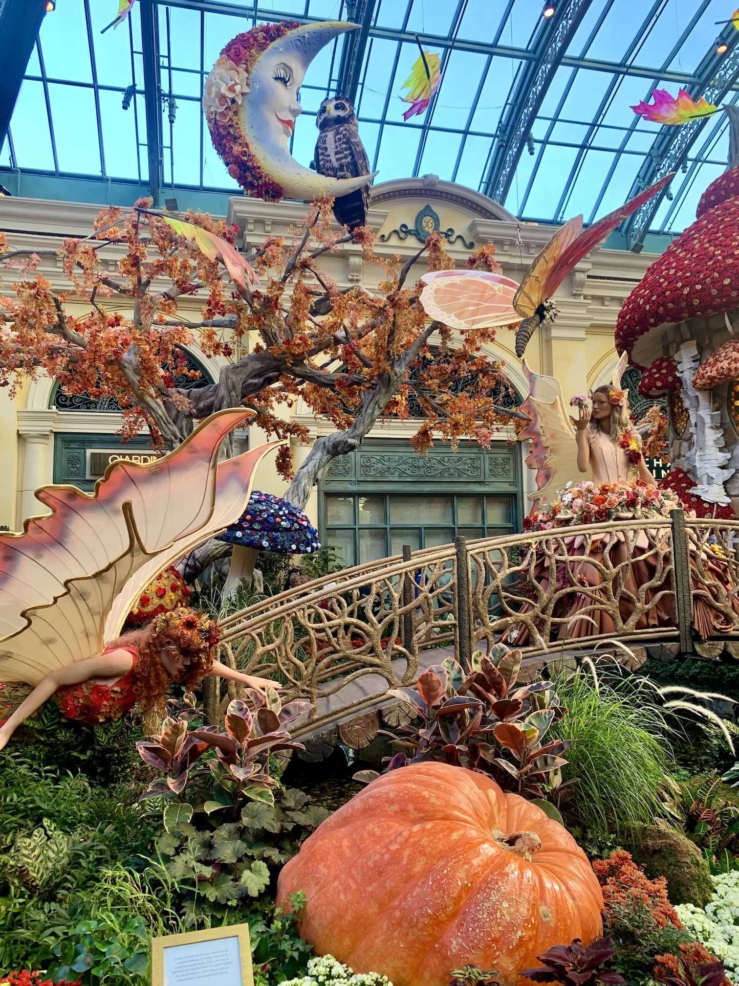 Bellagio Conservatory and Gardens Fall 2023