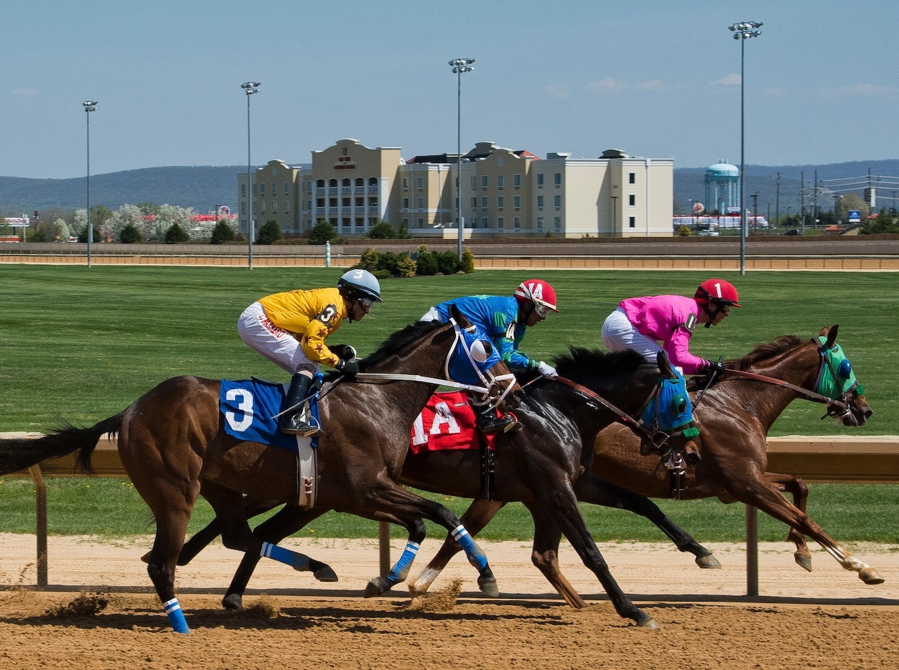 Horse racing at Hollywood casino at Charles Town in West Virginia