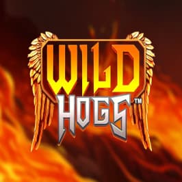 Wild Hogs Game Logo