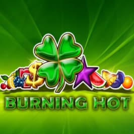 Burning Hot Game Logo