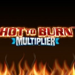 Hot to Burn Multiplier Game Logo