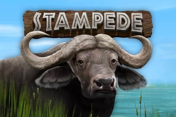 Stampede by Eyecon Game Logo
