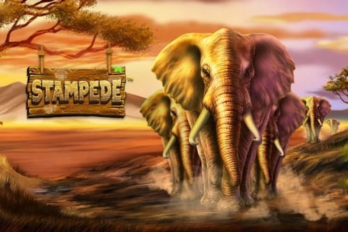 Stampede by Betsoft Game Logo